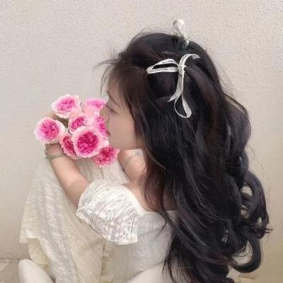屋顶里的散步者