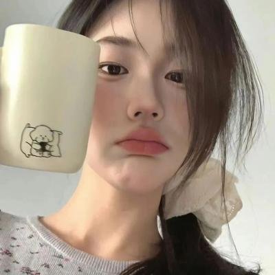 不可思议猫森林